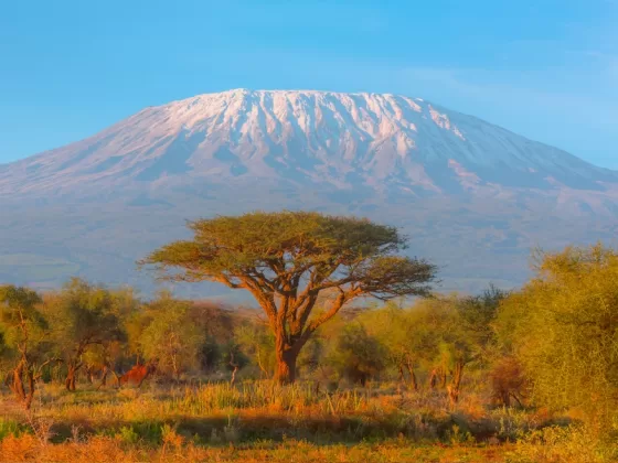 Mount Kilimanjaro