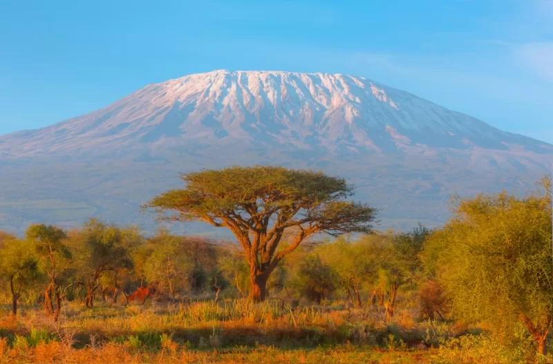 Mount Kilimanjaro