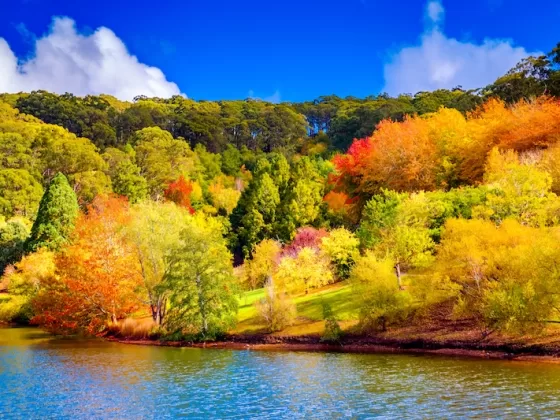 Colorful Australian autumn in Mount Lofty, Adelaide Hills, South Australia