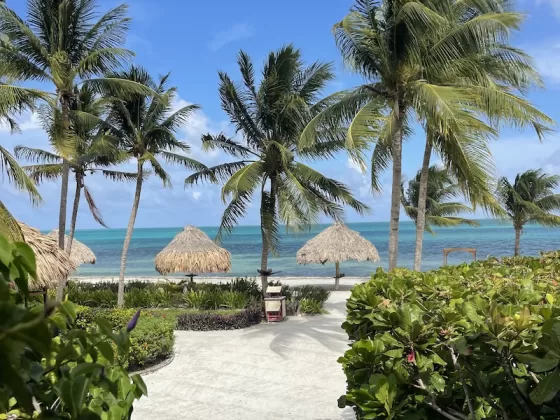 The beautiful beaches on Ambergris Caye. All photos courtesy of the author.