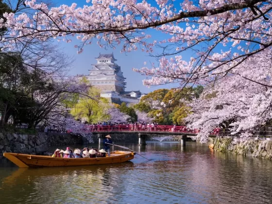 For those seeking a blend of tradition and modernity, Japan is a top pick.