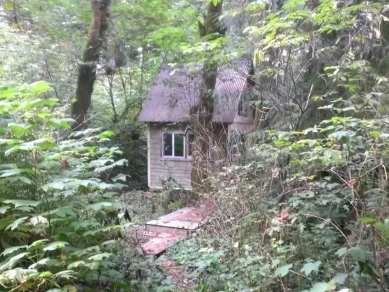 The cabin, as seen from the road, shortly after buying it.