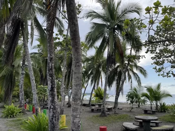 Playa Manzanillo, Limon, Costa Rica